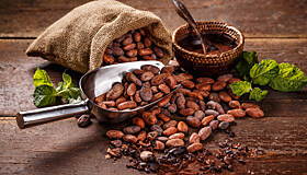 Стало известно, как употреблять какао для борьбы со старением