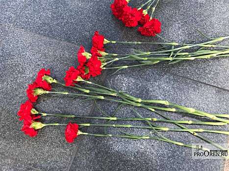 Трагедия в небе: 8 лет прошло со дня крушения самолета «Москва-Орск»