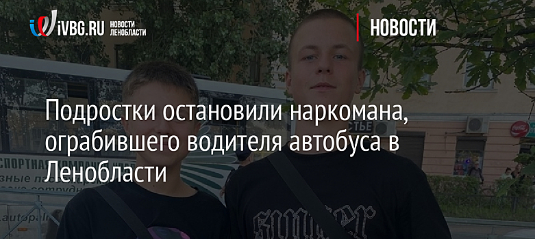 Подростки остановили наркомана, ограбившего водителя автобуса в Ленобласти