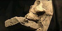 Трепанация черепа у древних инков – хирургия средних веков