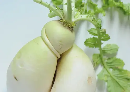 В Роспотребнадзоре рассказали, кому вредна репа