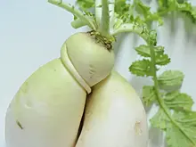 В Роспотребнадзоре рассказали, кому вредна репа