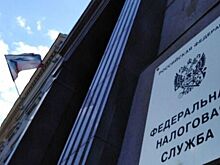 Налоговый маневр создаст комфортные условия для развития IT-отрасли в России