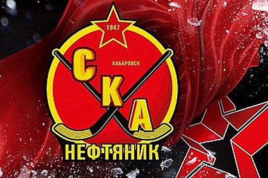 Михаил Дегтярев обратился к спортсменам и болельщикам в преддверии Чемпионата России по хоккею с мячом