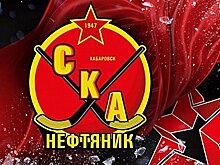 Михаил Дегтярев обратился к спортсменам и болельщикам в преддверии Чемпионата России по хоккею с мячом