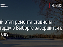 Первый этап ремонта стадиона «Авангард» в Выборге завершится в 2025 году