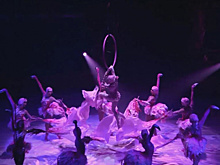 "От чистого сердца": в самарском цирке прошло благотворительное представление для медиков