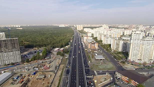 Бизнесмен потратил бюджетные деньги, чтобы украсить дом портретом жены