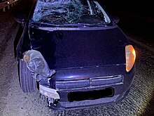 В Сакмарском районе под колесами авто погиб 66-летний пешеход