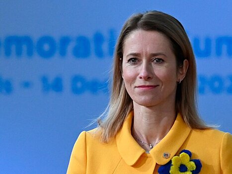 Euractiv: Каллас вызвала раздражение политиков ЕС словами об активах России