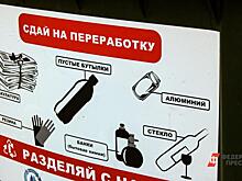 В Кирове неизвестные выбросили сотню ртутных ламп вблизи садоводств