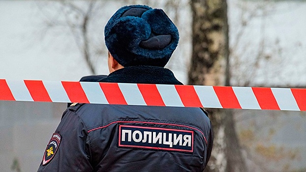 В МВД РФ назвали места, в которых чаще всего орудуют карманные воры