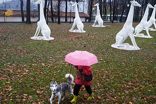Дождь и до +18°C ожидается в Москве