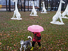 В Москве в пятницу ожидается до +10°С