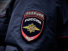 Глава МВД уволил сотрудников, отказавших дать убежище блогеру Васильеву