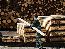 Китайский инвестор вложит $20 млн в развитие томской фирмы, поставляющей пиломатериал IKEA