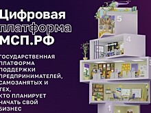 Тамбовские предприниматели активно используют цифровую платформу МСП.РФ