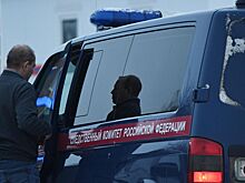 Напавшего на четырех девушек насильника отправят на принудительное лечение