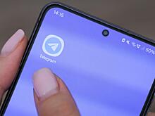 Мизулина: WhatsApp и Telegram не сотрудничают с РФ по террористической опасности