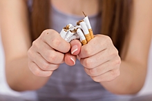 Philip Morris предложил креативщикам строить мир без табака
