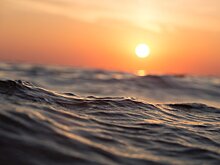 Осьминог Ося и тайны Шпицбергена: топ-5 оригинальных книг о море и морских приключениях