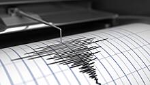 Сейсмологи объяснили, почему нельзя верить опубликованным в Сети предсказаниям о землетрясениях