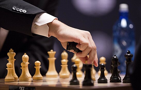 Депутат ЖК назвал преимущества политика, играющего в шахматы
