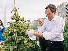 Молодые специалисты «Россети Центр и Приволжье» из Кировской области присоединились к патриотической акции «Сад памяти»