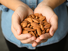 Врач рассказал, употребление какого ореха может замедлить старение