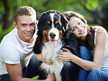 Эксперт: за что в России могут оштрафовать владельца собаки