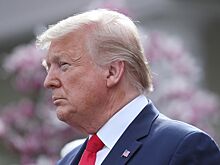 Европа готовится к смене курса США по Украине при возможной победе Трампа