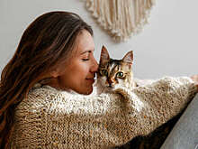 Ветеринар Логинов: кошки могут распознавать недомогания людей