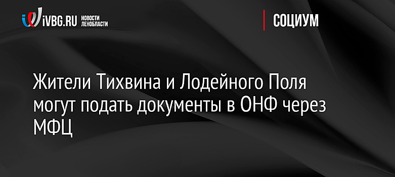 Жители Тихвина и Лодейного Поля могут подать документы в ОНФ через МФЦ