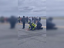 Пассажирка настояла на посадке самолета из-за одного предмета
