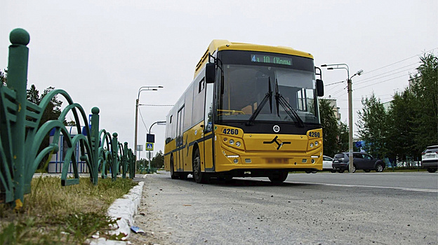 В Ноябрьске привлекли к ответственности водителя автобуса, который не пропустил пешехода