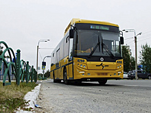 В Ноябрьске привлекли к ответственности водителя автобуса, который не пропустил пешехода
