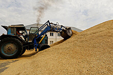Мишустин заявил, что Россия достигла рекордного урожая зерна, собрав 150 млн тонн