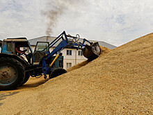 Мишустин заявил, что Россия достигла рекордного урожая зерна, собрав 150 млн тонн