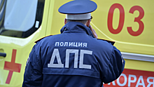 В Ростовской области в ДТП с микроавтобусом погибли четыре человека
