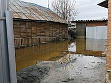 Власти описали ситуацию с подтоплениями под Томском