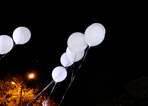 Пес Вин Дизель помог задержать похитителей воздушных шаров в Москве
