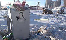 «Полный треш!»: Артемий Лебедев оценил самарские мусорки