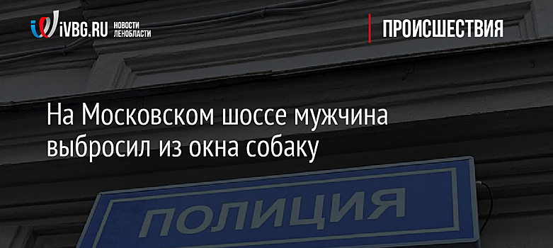 На Московском шоссе мужчина выбросил из окна собаку