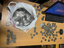 В Благовещенске задержан «гастролер», который продавал поддельные старинные монеты