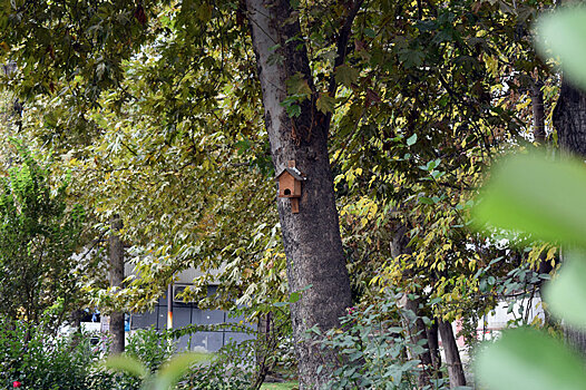 Даже не верится, что на этой улице была свалка: теперь здесь рай