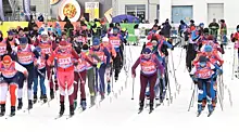 В Самаре почти 1000 лыжников стали участниками фестиваля "Сокольи горы"