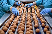 Россиянам пообещали отсутствие дефицита яиц на Пасху