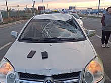 На трассе под Саратовом водитель иномарки сбил велосипедиста