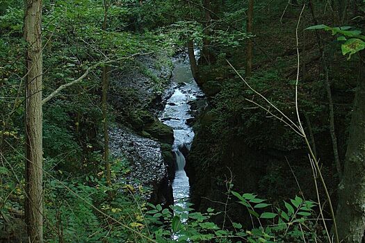 Запрос Секретной службы о повышении уровня реки для прогулки вице-президента вызвал скандал