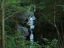 Запрос Секретной службы о повышении уровня реки для прогулки вице-президента вызвал скандал